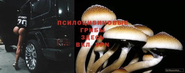 прущий лед Артём