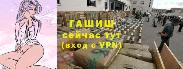 шишки Гусь-Хрустальный