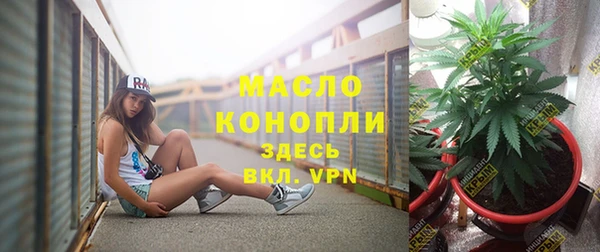 мдпв Бердск
