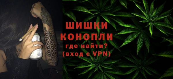 мдпв Бердск