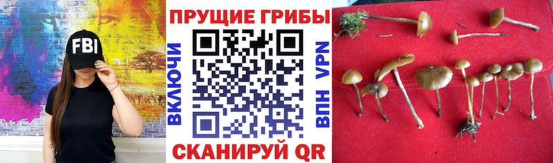 Псилоцибиновые грибы GOLDEN TEACHER  Анадырь 